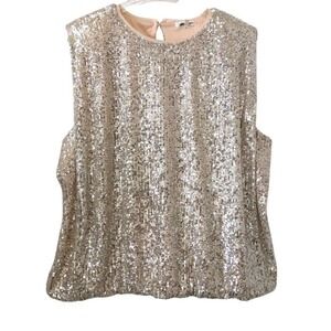 Sequin Sleeveless Blouse Silver Champagne Holiday Party Plus Size 1X Maurices